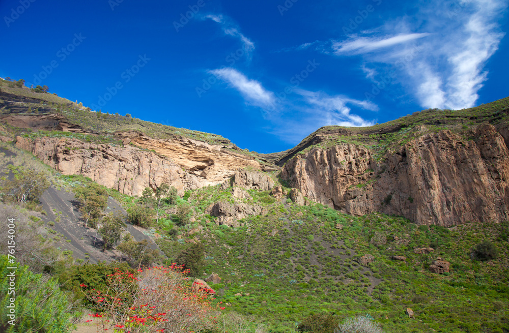 Gran Canaria, Caldera de Bandama after winter rains