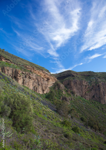 Gran Canaria, Caldera de Bandama after winter rains