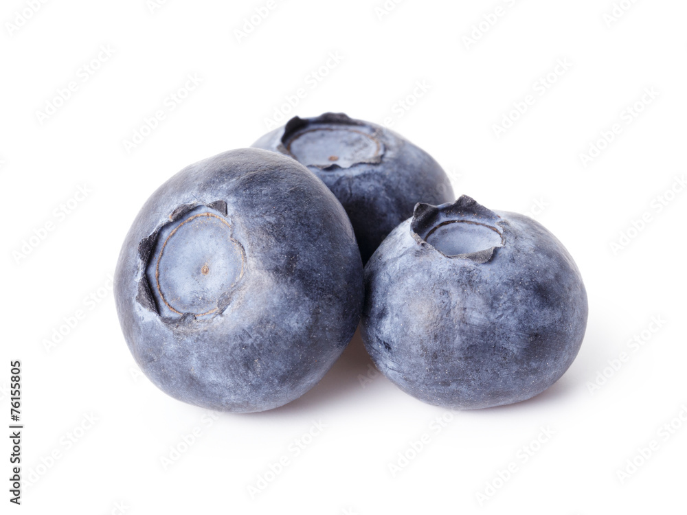 three blueberries isolated on white three blueberries isolated on white