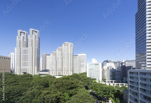 快晴青空と緑の東京都庁と新宿高層ビル街