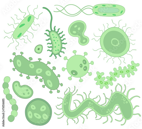 Bacteria and virus collection