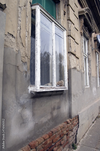 Plakat Kibic window