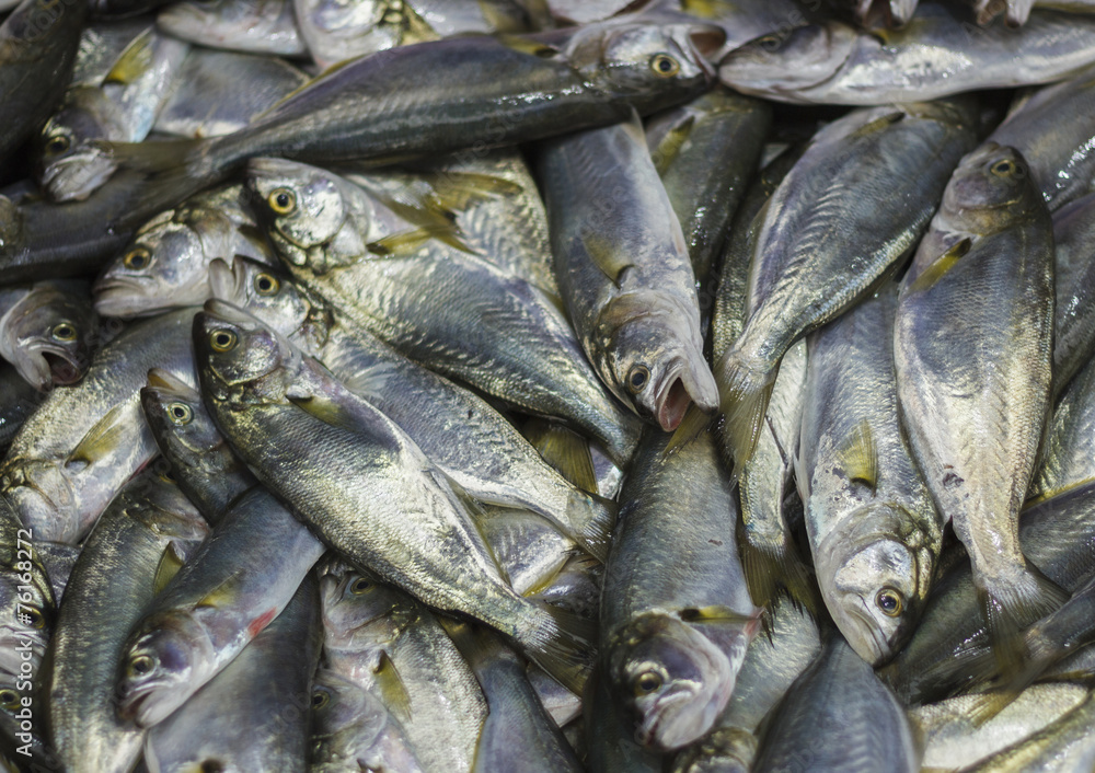 Obraz premium Fresh fish in market