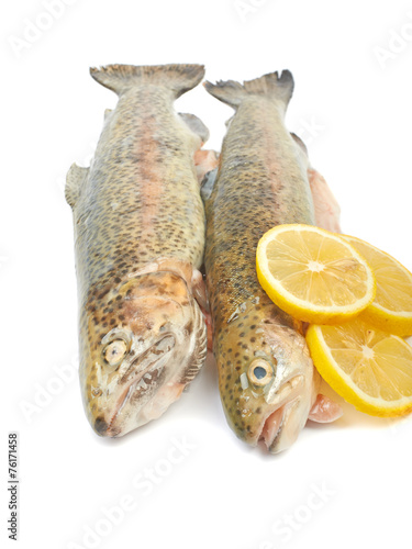 Trout fish with lemon isolated on white background on white back photo