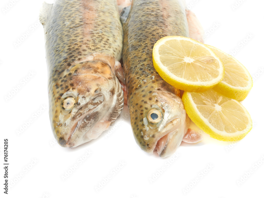 Trout fish with lemon isolated on white background on white back Trout fish with lemon isolated on white background on white back