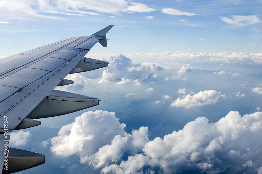 Obraz premium Flight