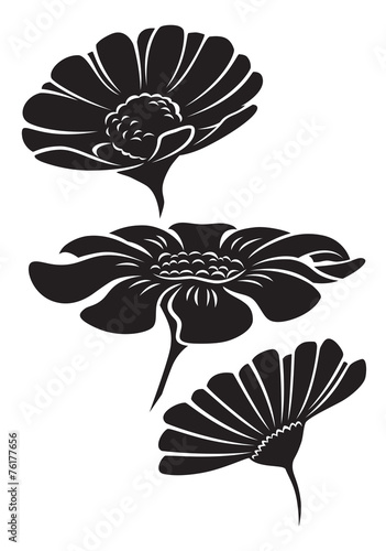 Fototapeta Naklejka Na Ścianę i Meble -  flower