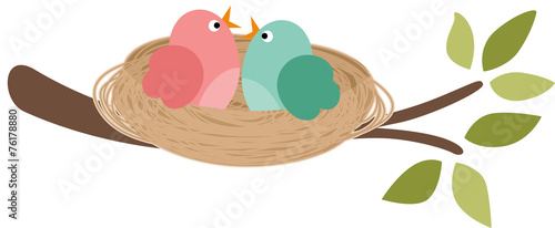 Couple of birds in the nest