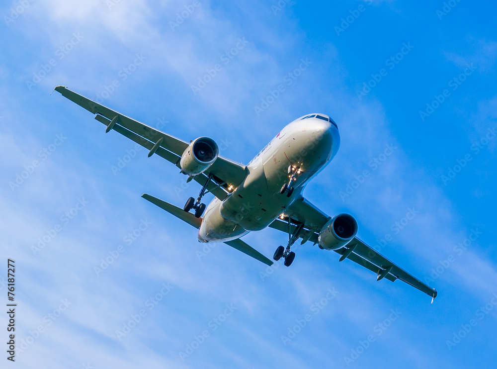 Fototapeta premium Landing Plane