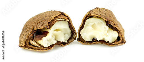 Half open brazil nut with shell and flesh