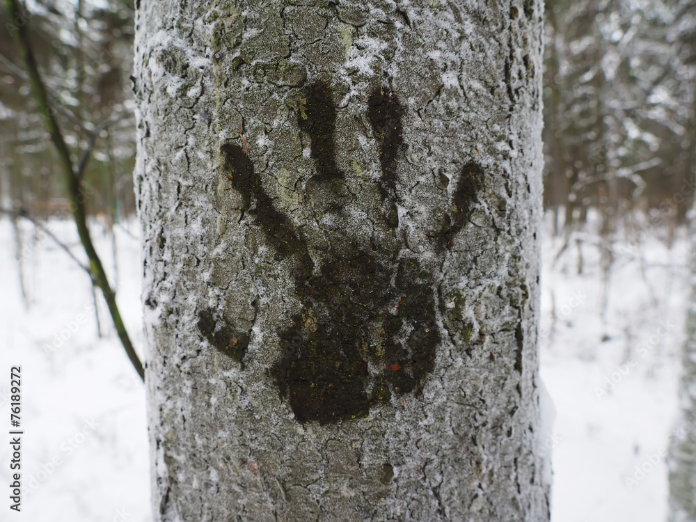 Fototapeta premium trace their hands on a tree in winter