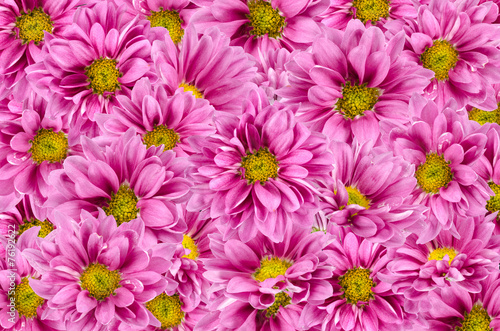 Pink flowers background