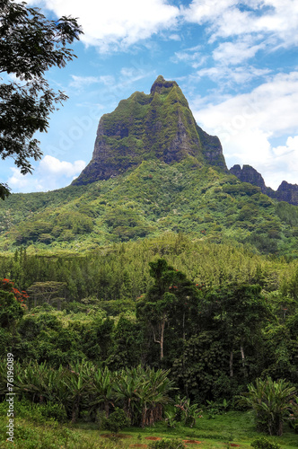 Moorea.French Polynesia