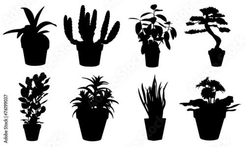 pots