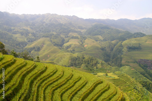 Rice terraced in Northern Vietnam