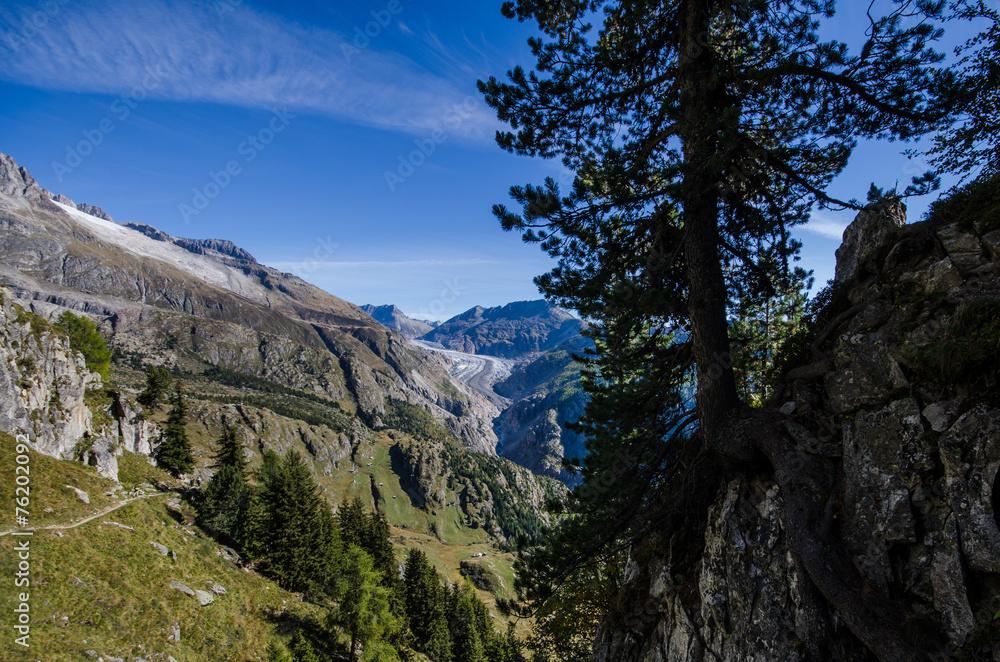 Sicht auf Aletschgletscher