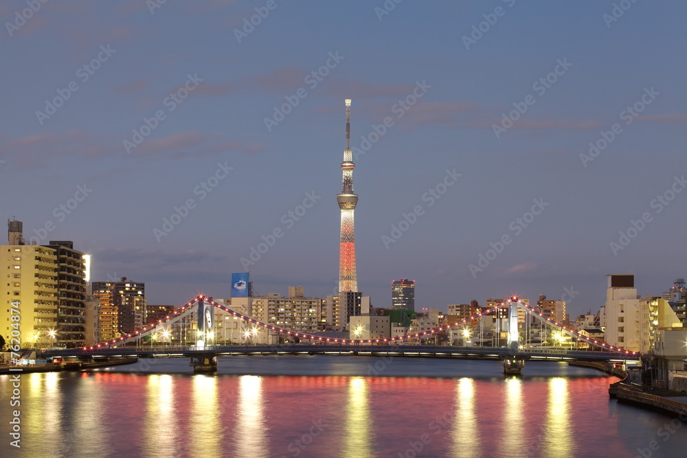 Tokyo city view and Tokyo sky tree with red christmas light up