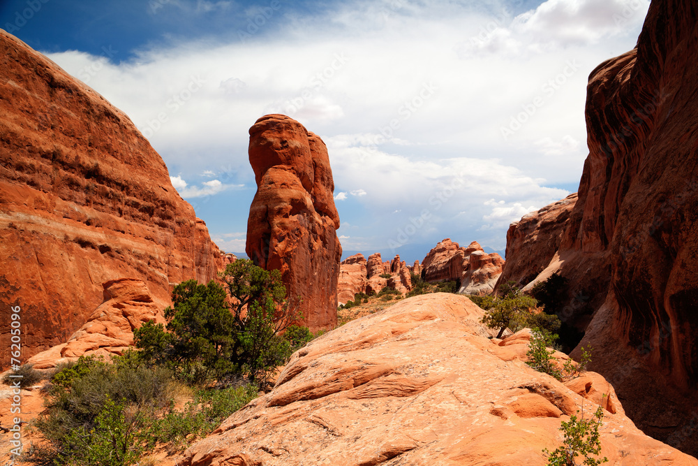 Fototapeta premium Beautiful rock formations in Arches National Park, Utah, USA