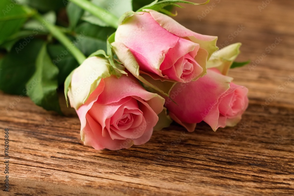 Three beautiful pink roses on wooden board Three beautiful pink roses on wooden board