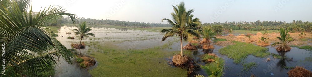 Fototapeta premium Backwaters of Kerala, India