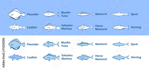Icons of Sea Fish photo