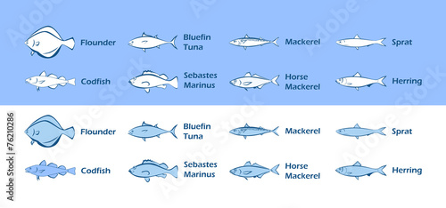 Icons of Sea Fish