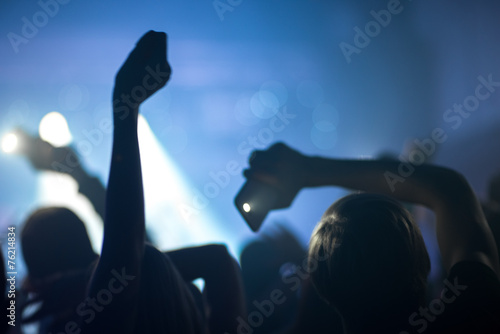 Group of people enjoying a concert