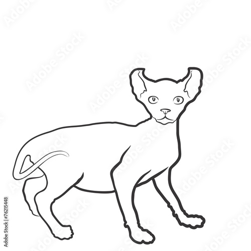 Кошка