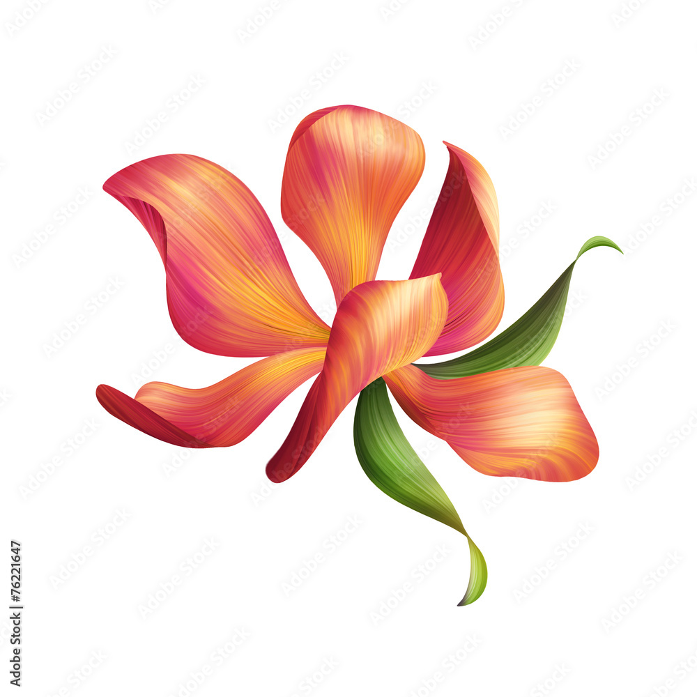 Fototapeta premium abstract delicate flower illustration isolated on white