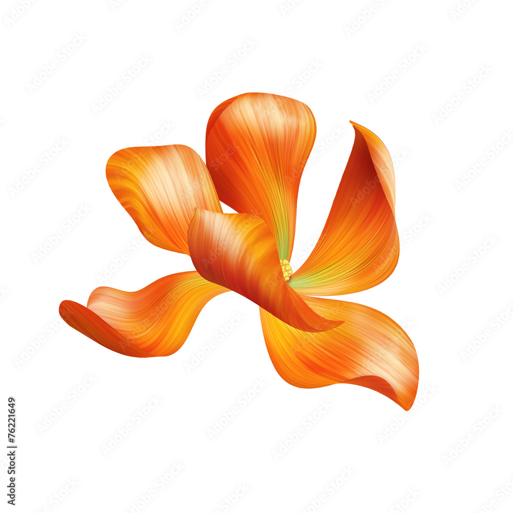 Fototapeta premium abstract delicate orange flower illustration isolated