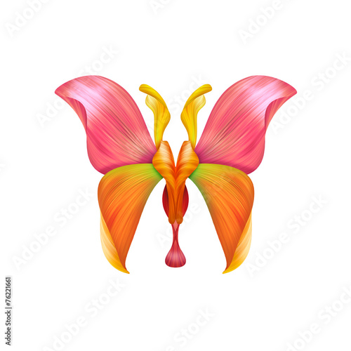Fototapeta Naklejka Na Ścianę i Meble -  abstract petal butterfly illustration isolated on white