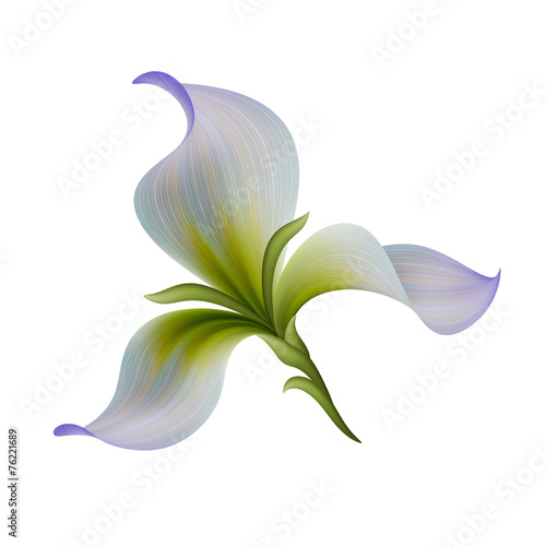Fototapeta Naklejka Na Ścianę i Meble -  abstract white flower illustration isolated on white