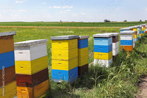 Bee hives