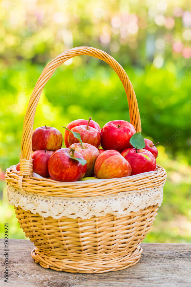Organic apples in basket in summer grass. Fresh apples in nature