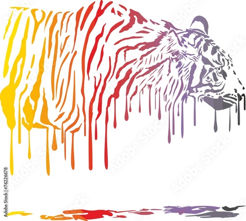 Fototapeta Naklejka Na Ścianę i Meble -  Tiger, abstract color painting on a white background