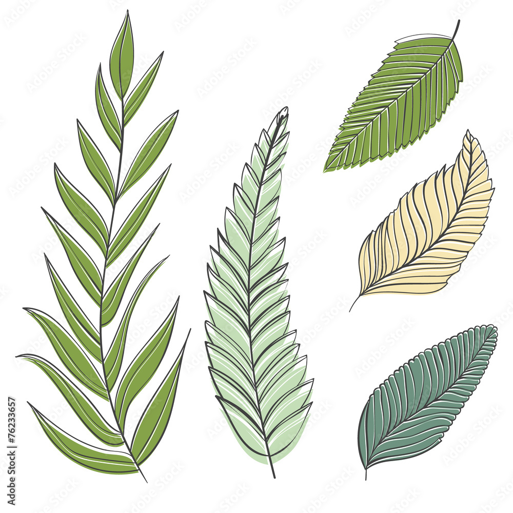 Fototapeta Set of hand drawn branches and leaves, modern vector style.
