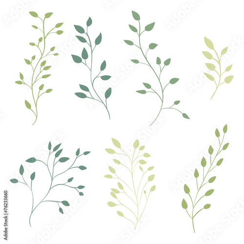 Murais de parede Hand drawn ornate branches with leaves. Vector decorative