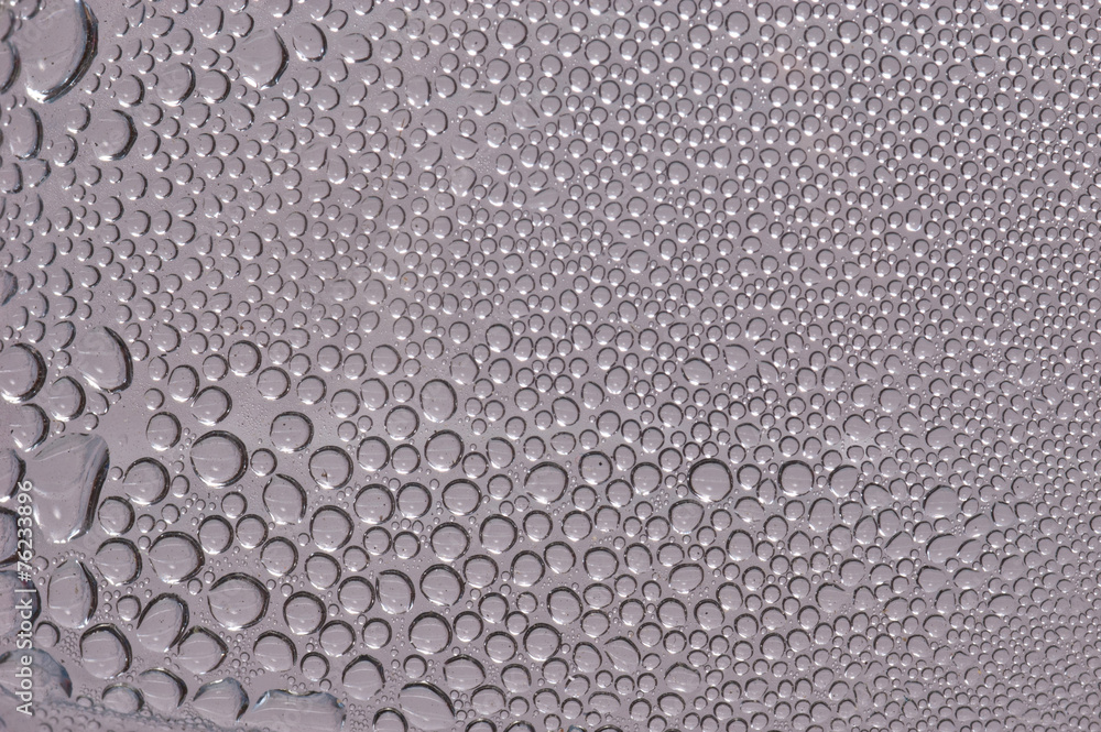 water droplets on white background water droplets on white background
