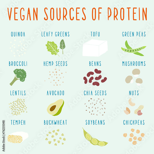 Vegan sources of protein.