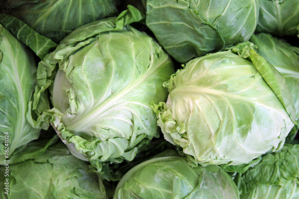 Obraz premium White cabbage