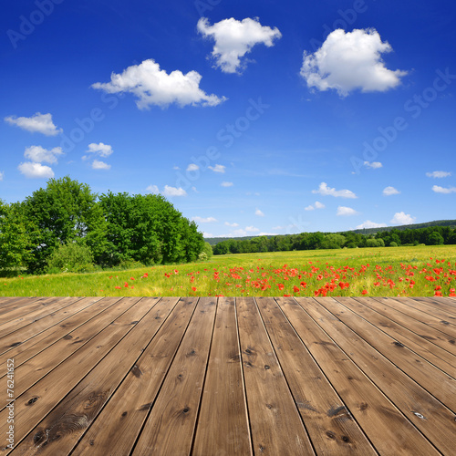 Wheat field with poppies and wooden planks.