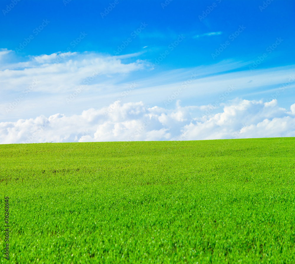 Background Beauty Outdoor