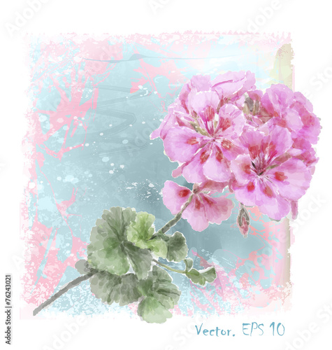 hand drawn  watercolor pink geranium flower