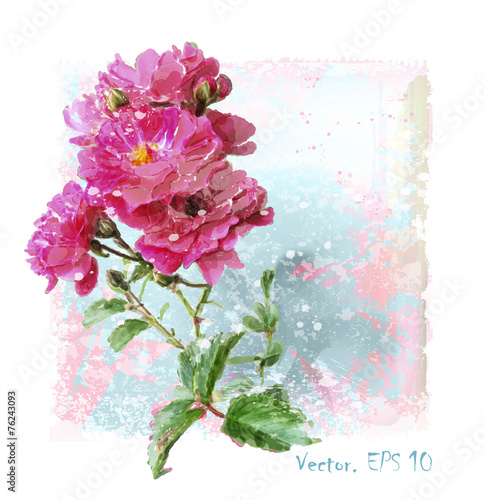 hand drawn  watercolor pink roses