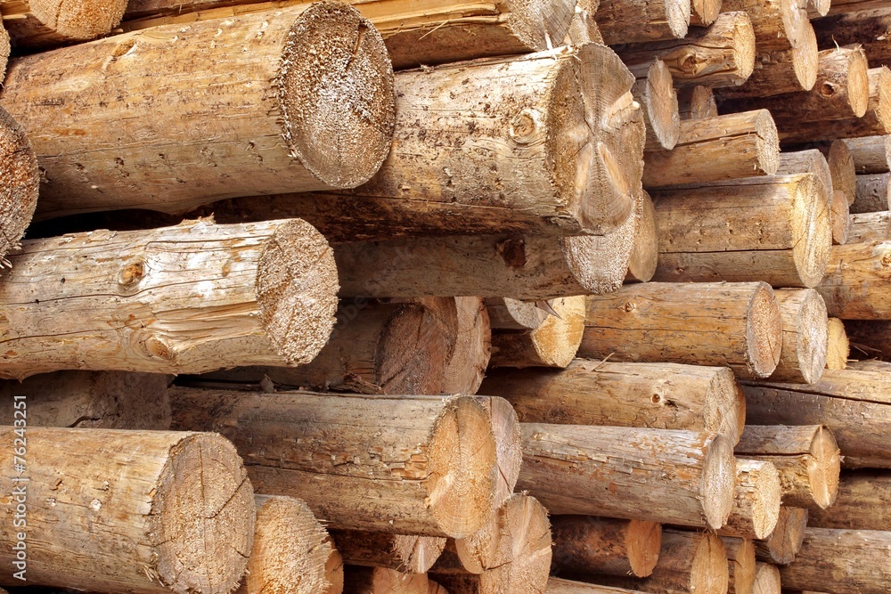 Woodpile of stacked wood logs
