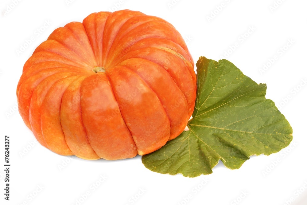Large Ripe Pumpkin with Leaf