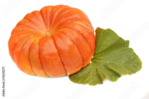 Large Ripe Pumpkin with Leaf