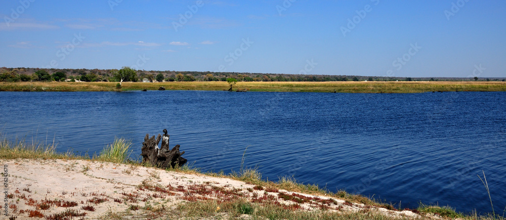 Chobe river front