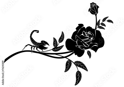 rose and scorpion