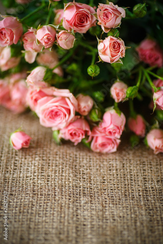 pink roses © Peredniankina